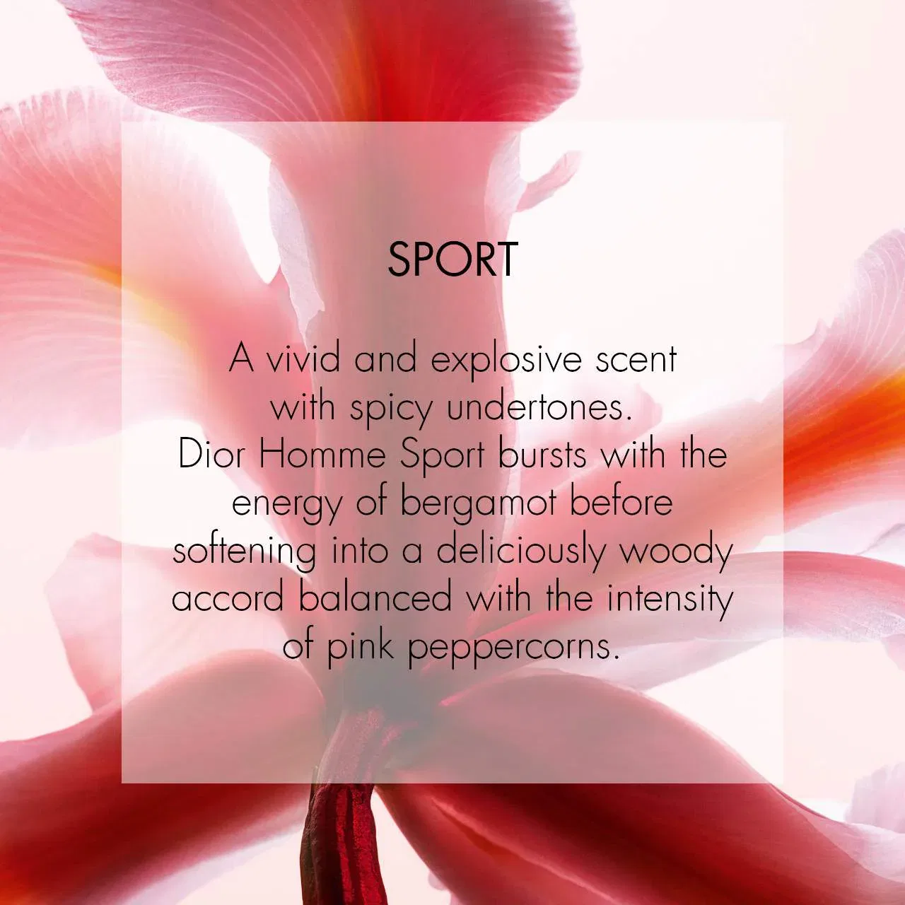 Туалетная вода DIOR, Homme Sport, 200 мл — фото 4