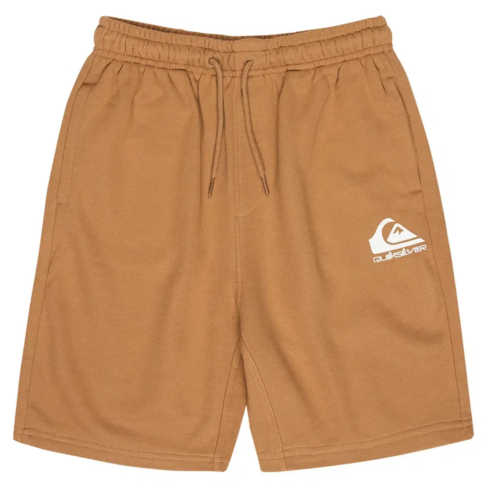 Шорты спортивные Easy Day Quiksilver, коричневый