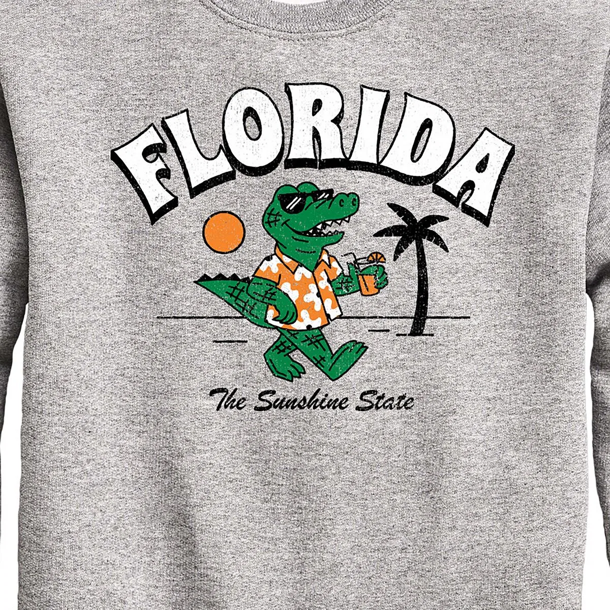 Детская толстовка-свитшот на молнии с принтом Florida, The Sunshine State Instant Message, Athletic Heather — фото 2