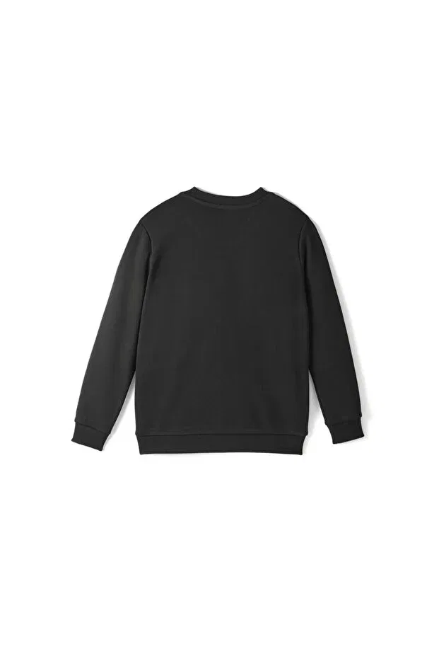 Детская толстовка для мальчиков хлопковая Galatasaray Kids Ata Sweatshirt Gsstore, 142329 — фото 4
