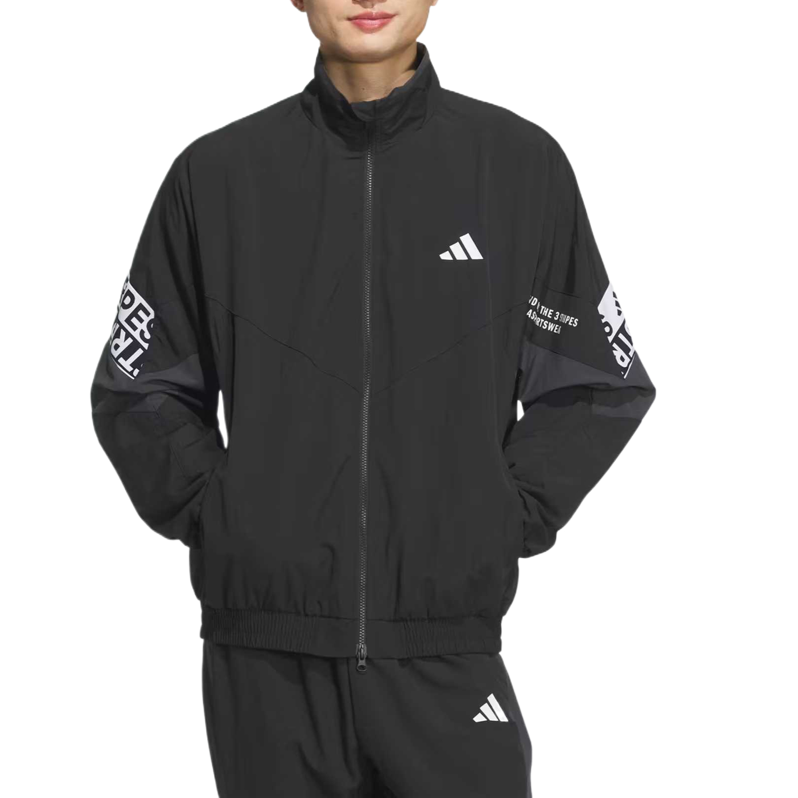 Текст: Куртка мужская, с воротником-стойкой, средней жесткости, другие Adidas, черный (includes 3 pairs of adidas socks) — фото 3