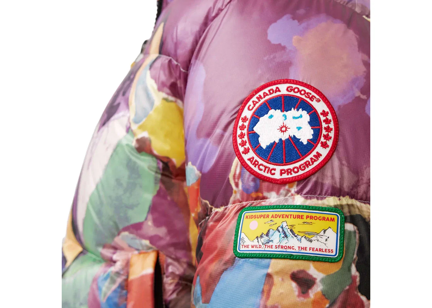 Мужская пуховая куртка с принтом Crofton Puffer Jacket Crowd Print Canada Goose, Crowd Print — фото 2