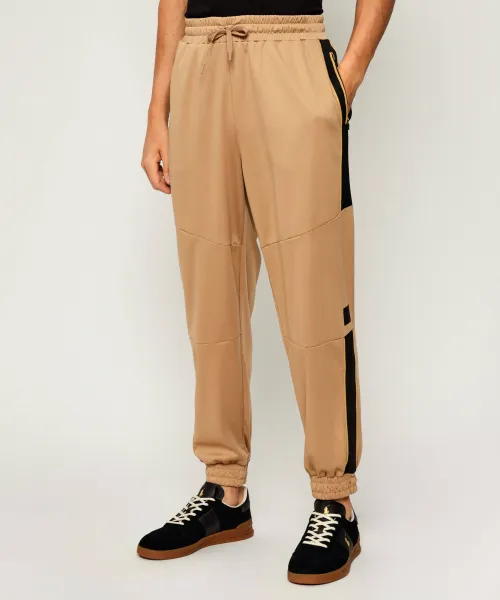 

Спортивные штаны Regular fit Ea7, бежевый