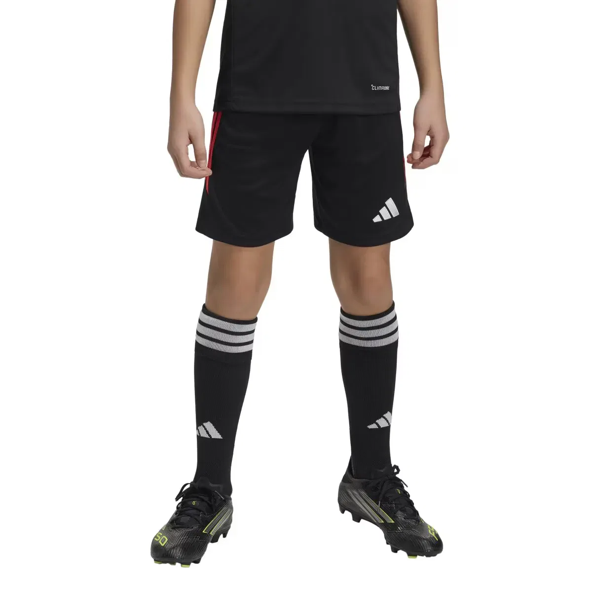 Детские шорты для мальчиков с логотипом Tiro 26 League adidas, Negro Rojo