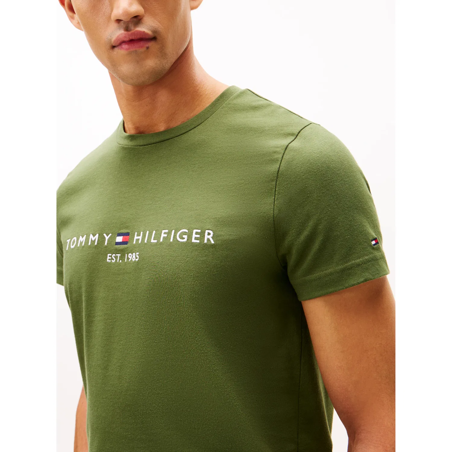 Мужская хлопковая футболка Tommy Hilfiger, Mountain Pine — фото 2