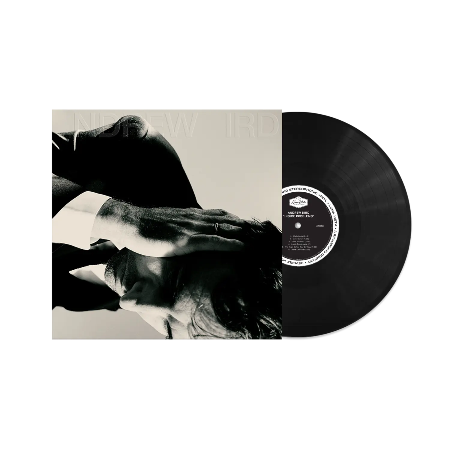 

Виниловая пластинка Inside problems standard black lp Andrew Bird