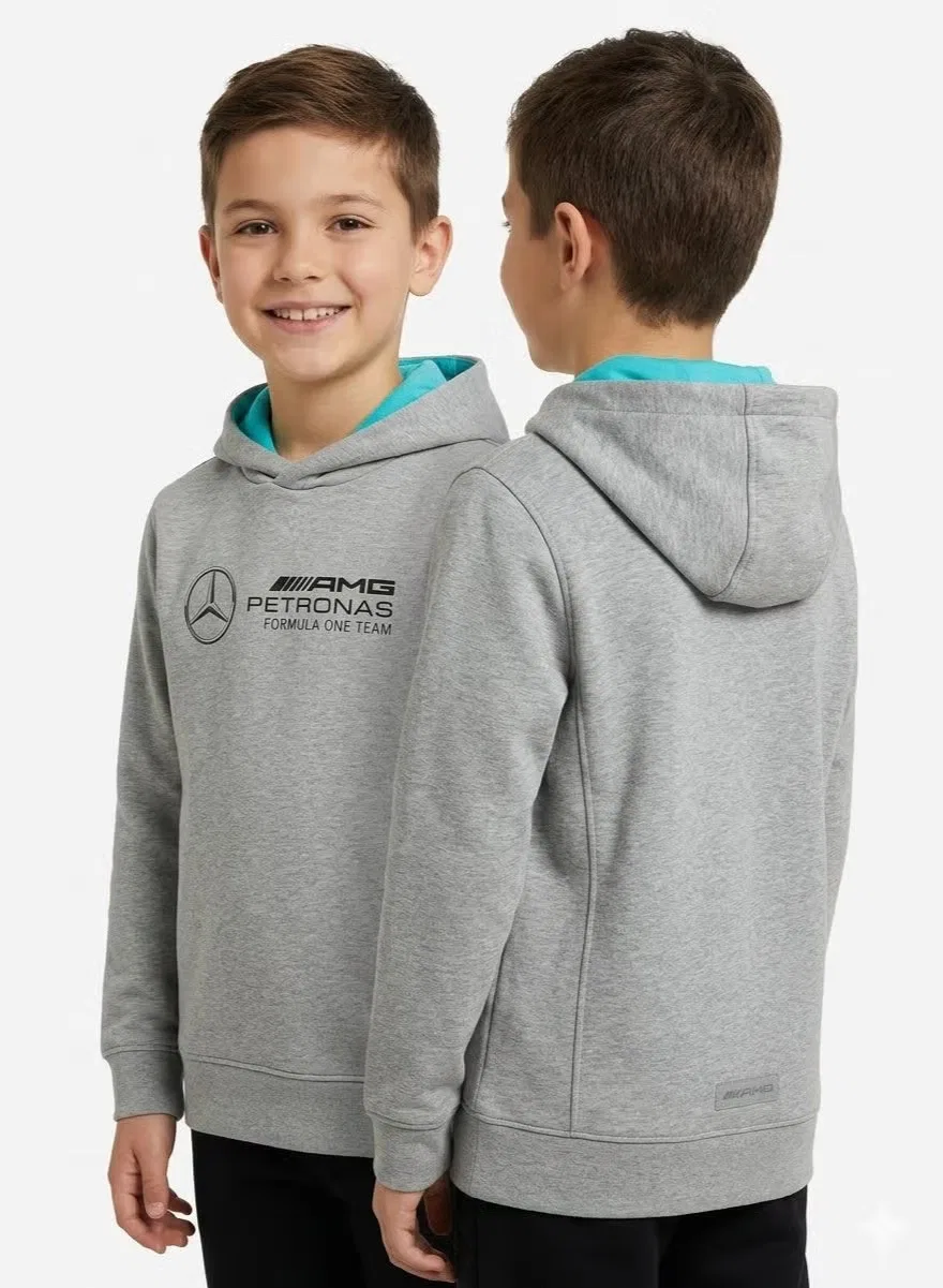 Amg Petronas Formula 1 Team Худи детское с крупным логотипом Mercedes-Amg Formula 1 Team, серый