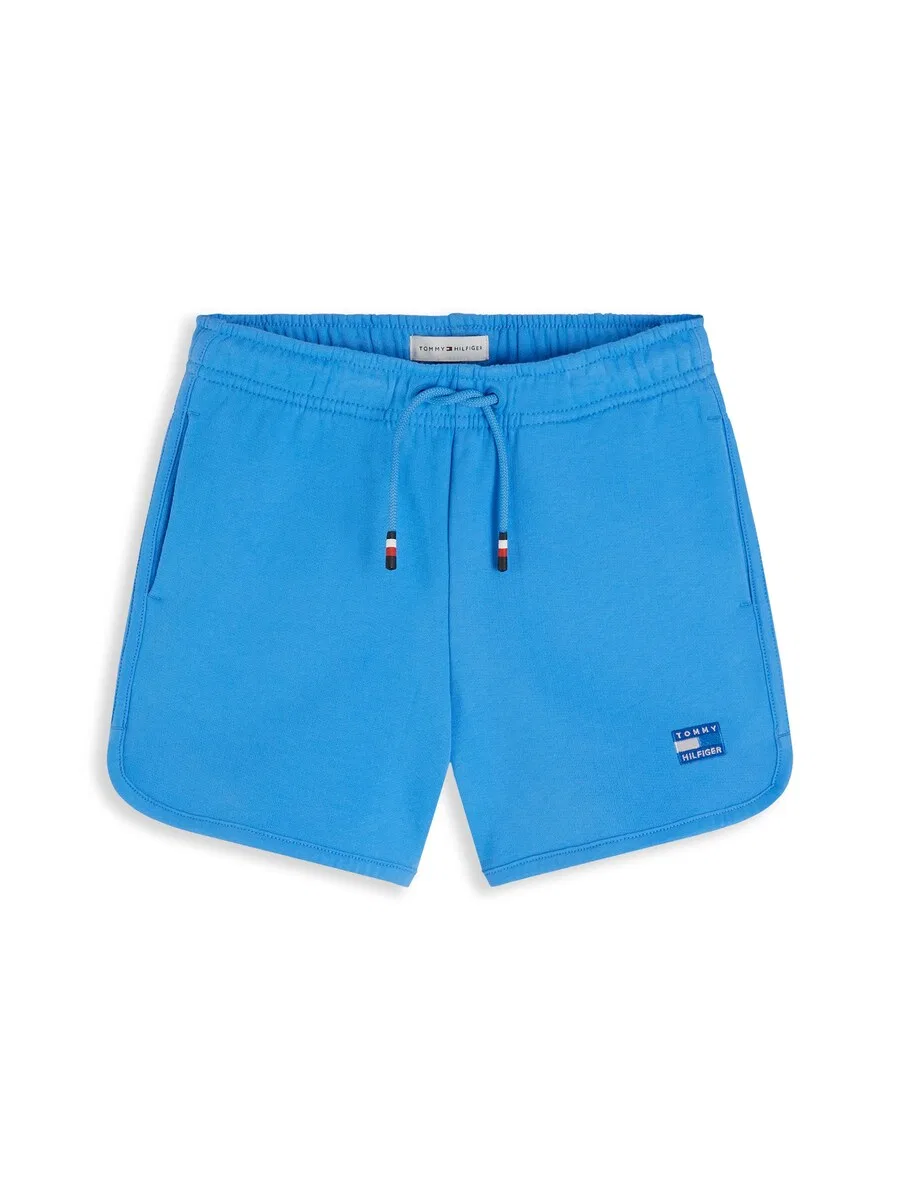 Брюки TOMMY HILFIGER Regular Pants 'Tonal Flag Logo Sweat' синего цвета