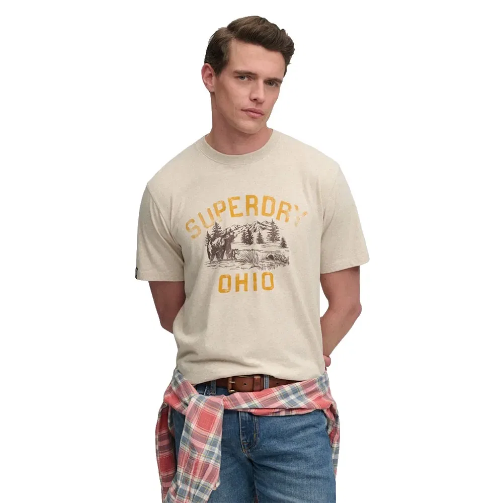 Мужская футболка свободного кроя Wild Frontier Superdry, Beige