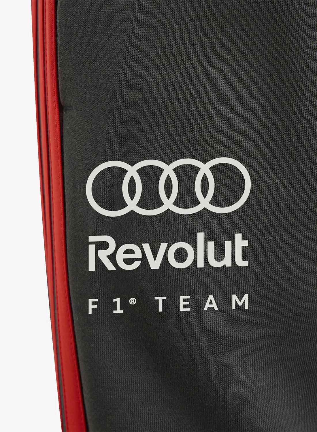 Штаны с логотипом Formula One Team DNA Adidas, черный — фото 4