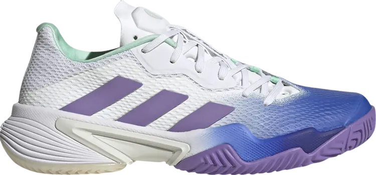 

Кроссовки Adidas Wmns Barricade 'Lucid Blue Violet Fusion', синий