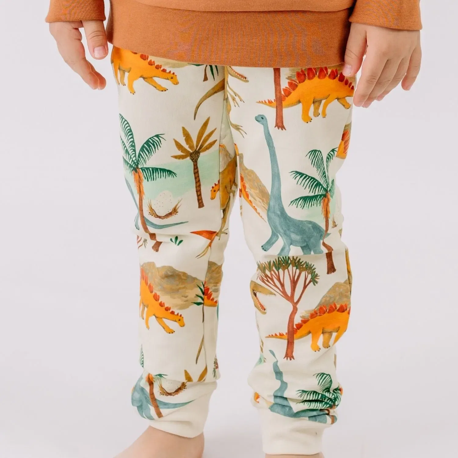 Штаны спортивные с принтом Dinasaur World-Jogger Walkiddy, зеленый