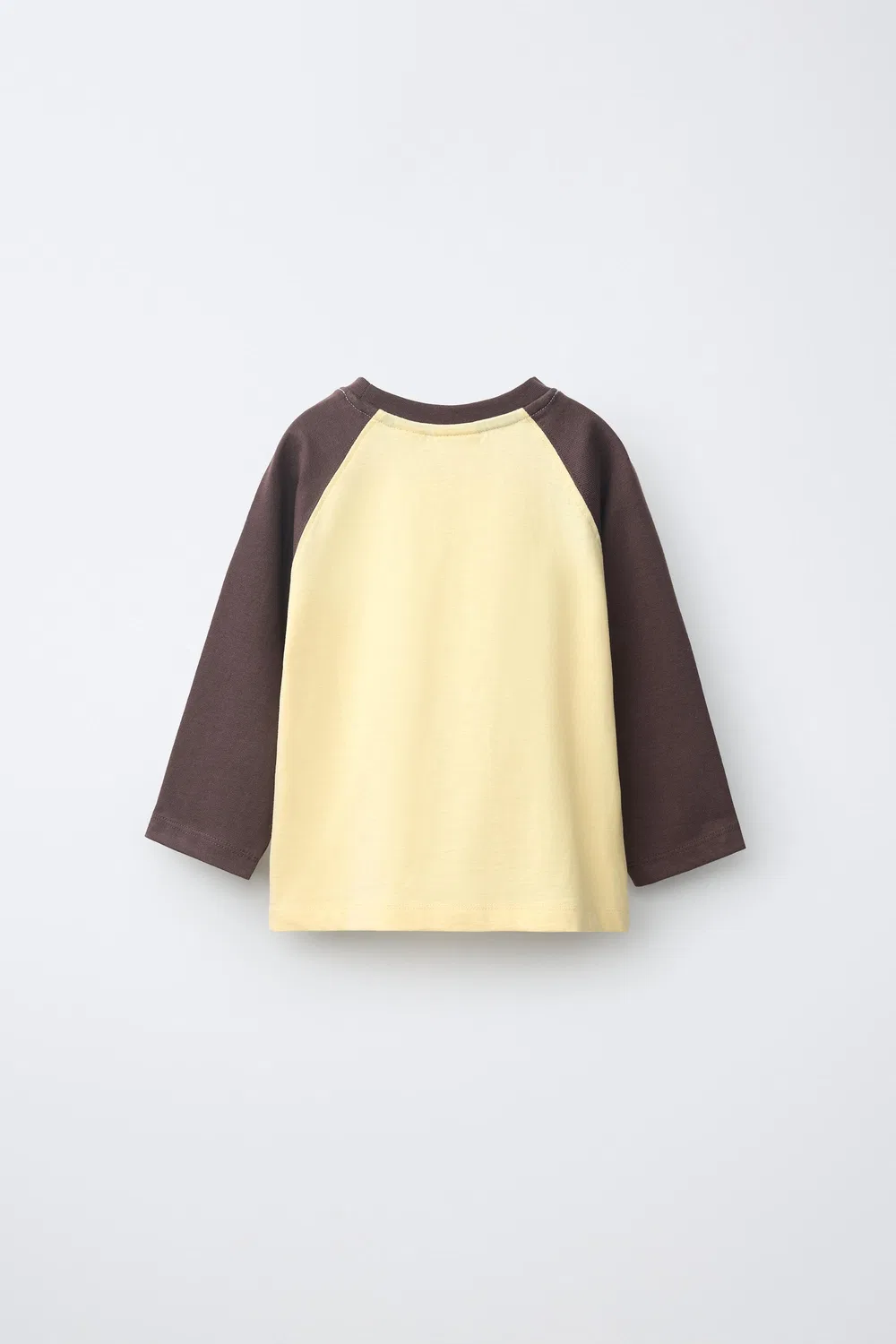 Футболка с вышитым текстом и рукавами реглан. ZARA, Brown — фото 2