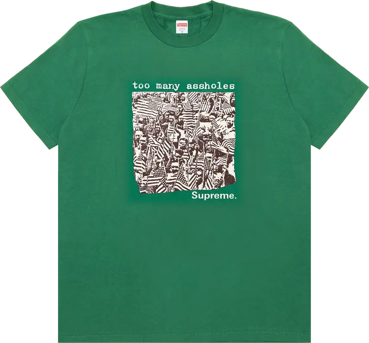 

Футболка Supreme Too Many Assholes Tee 'Light Pine', зеленый