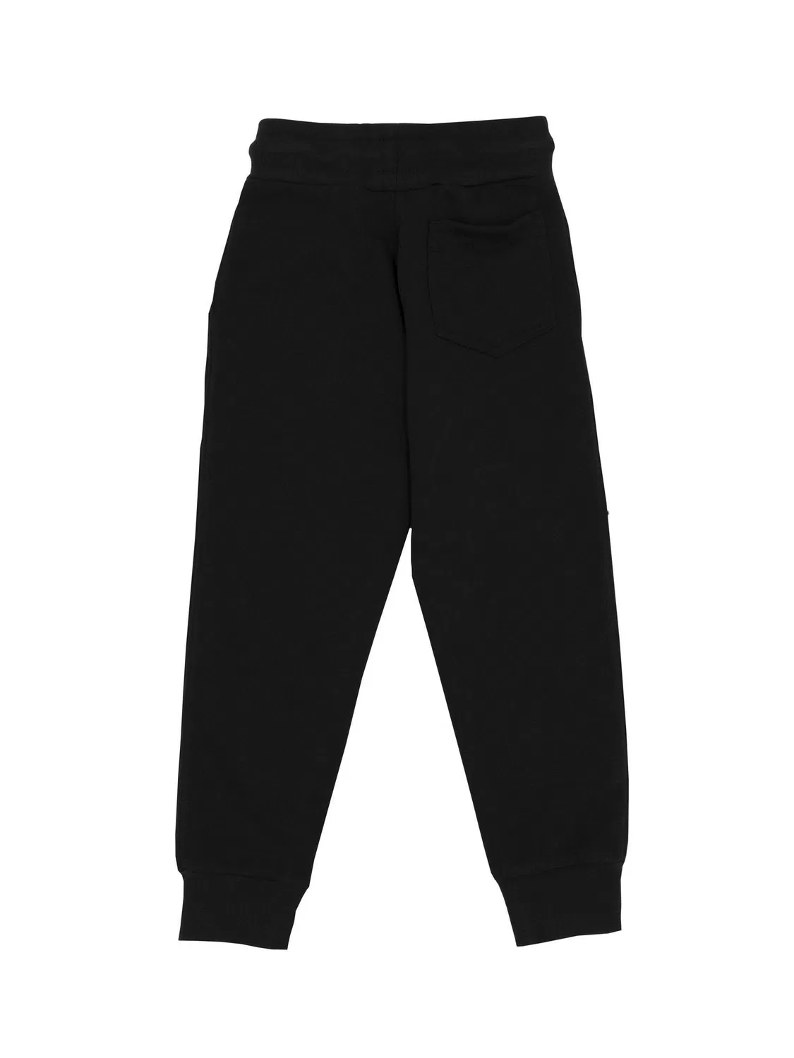 Детские тренировочные штаны для мальчиков с принтом Basic Lion Leone 1947 Apparel, Schwarz / Mondgrau — фото 2