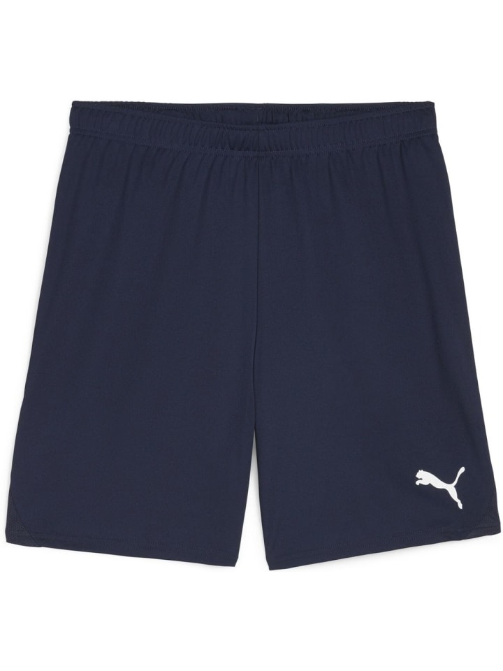 

Спортивные шорты TeamGoal Shorts синего цвета Puma