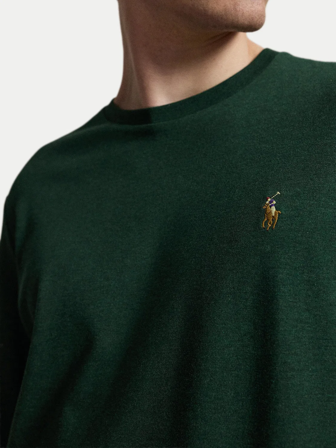 Мужской пуловер стандартного кроя Polo Ralph Lauren, зеленый — фото 4