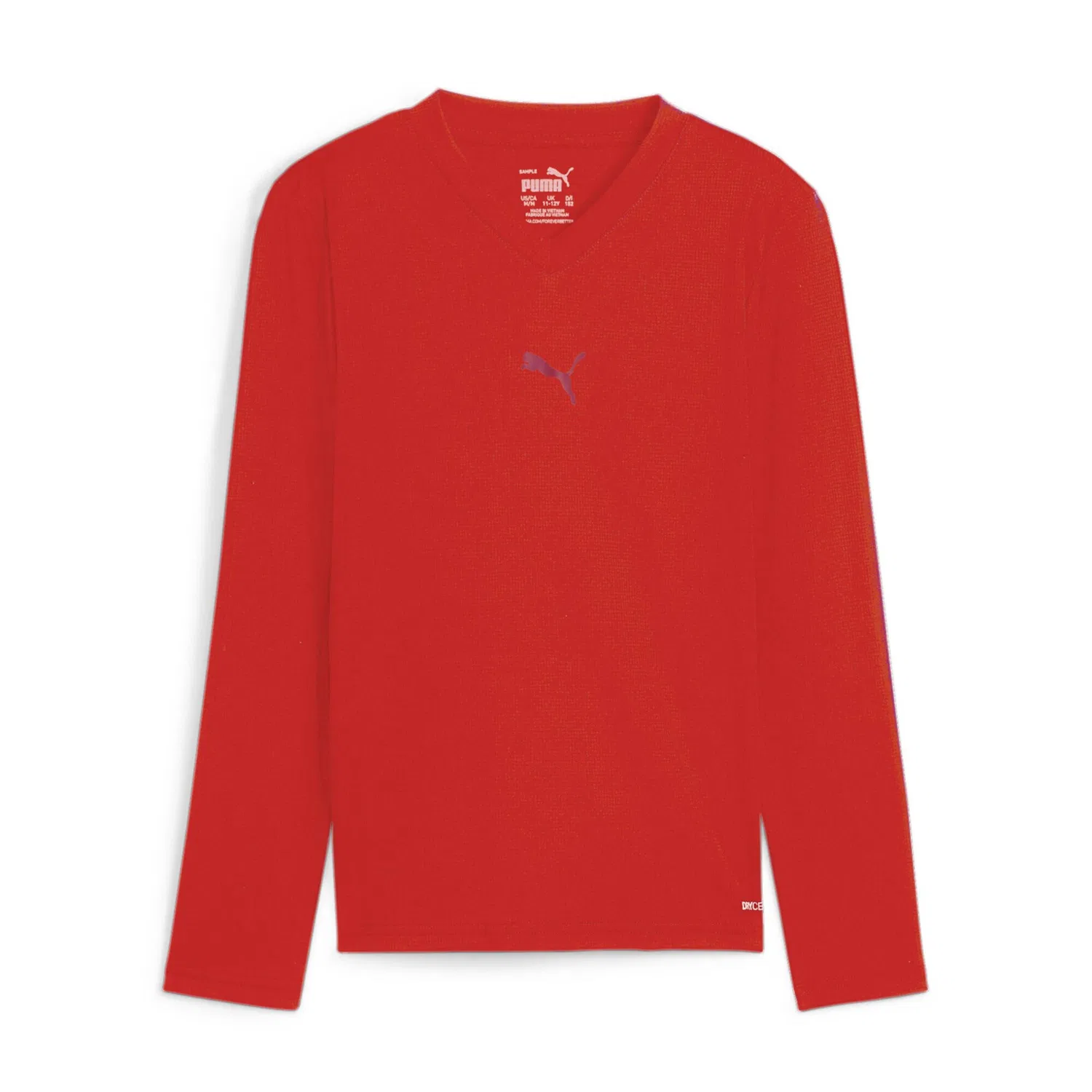 Детское лонгслив teamGOAL Baselayer Tee LS Jr Puma, Rot