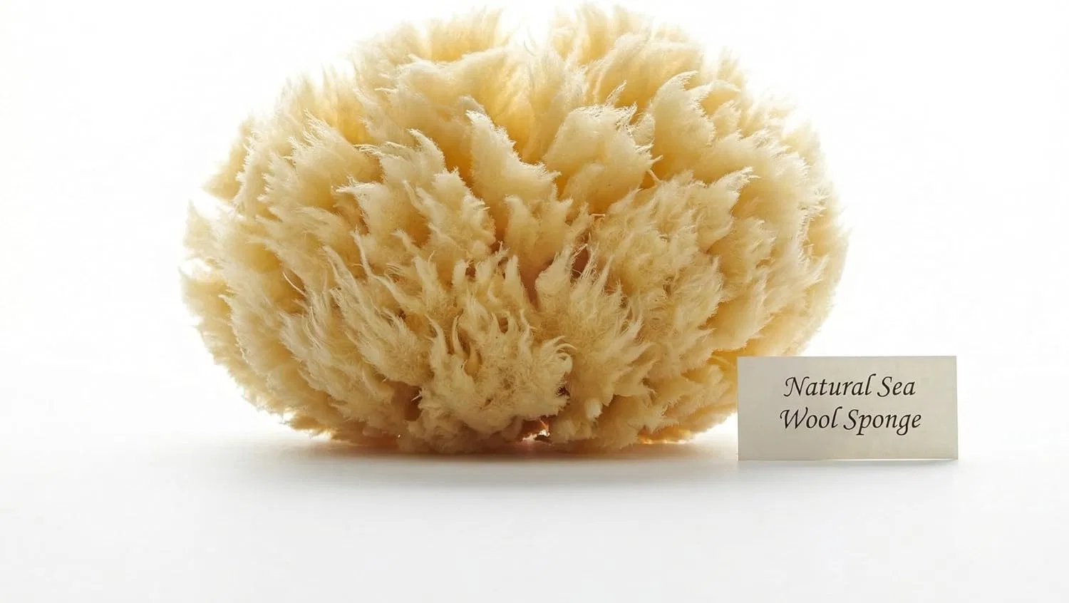Губка для ванны Sea Wool, Natural, Constantia Beauty — фото 4