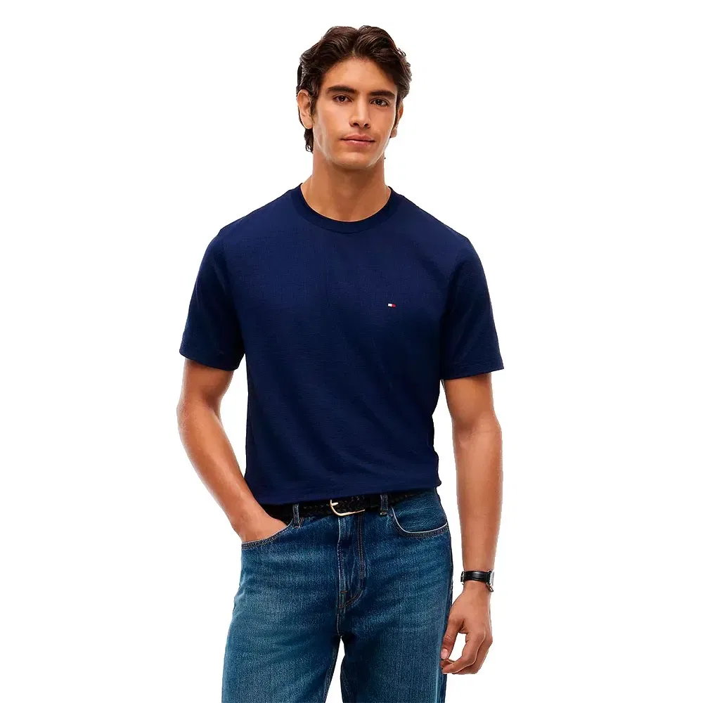 Мужская футболка с коротким рукавом Tommy hilfiger Performance Texture, Blue