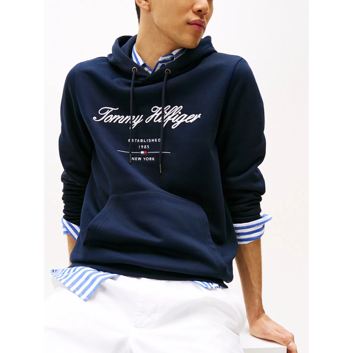 Мужской худи с капюшоном и вышитым логотипом Tommy Hilfiger, Desert Sky — фото 2