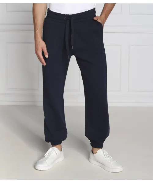 

Спортивные штаны Regular fit Trussardi, синий