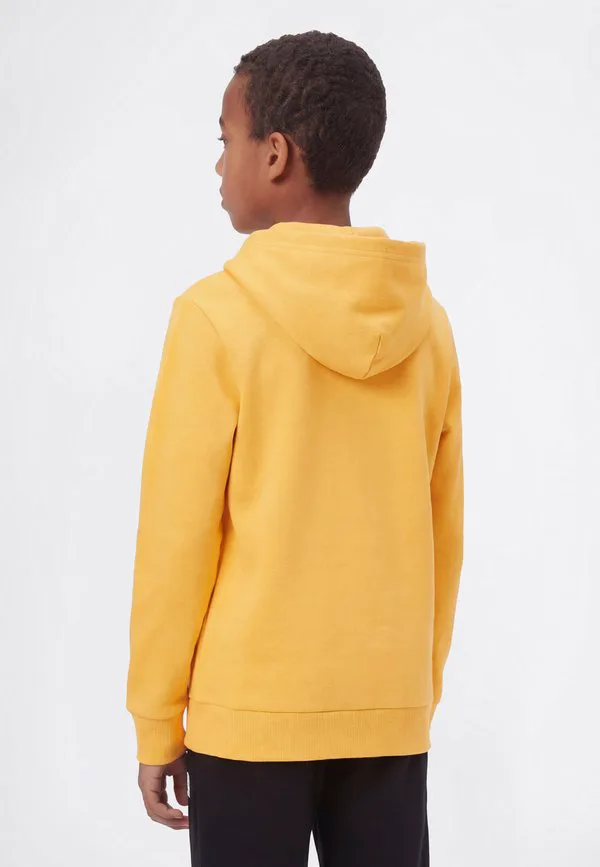 Толстовка с капюшоном и контрастными иконками Champion, Dark Yellow — фото 3