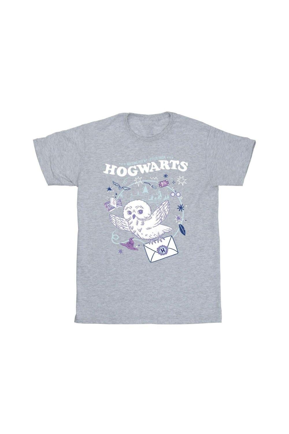 Хлопковая футболка «Письмо совы из Хогвартса» Harry Potter, серый — фото 2