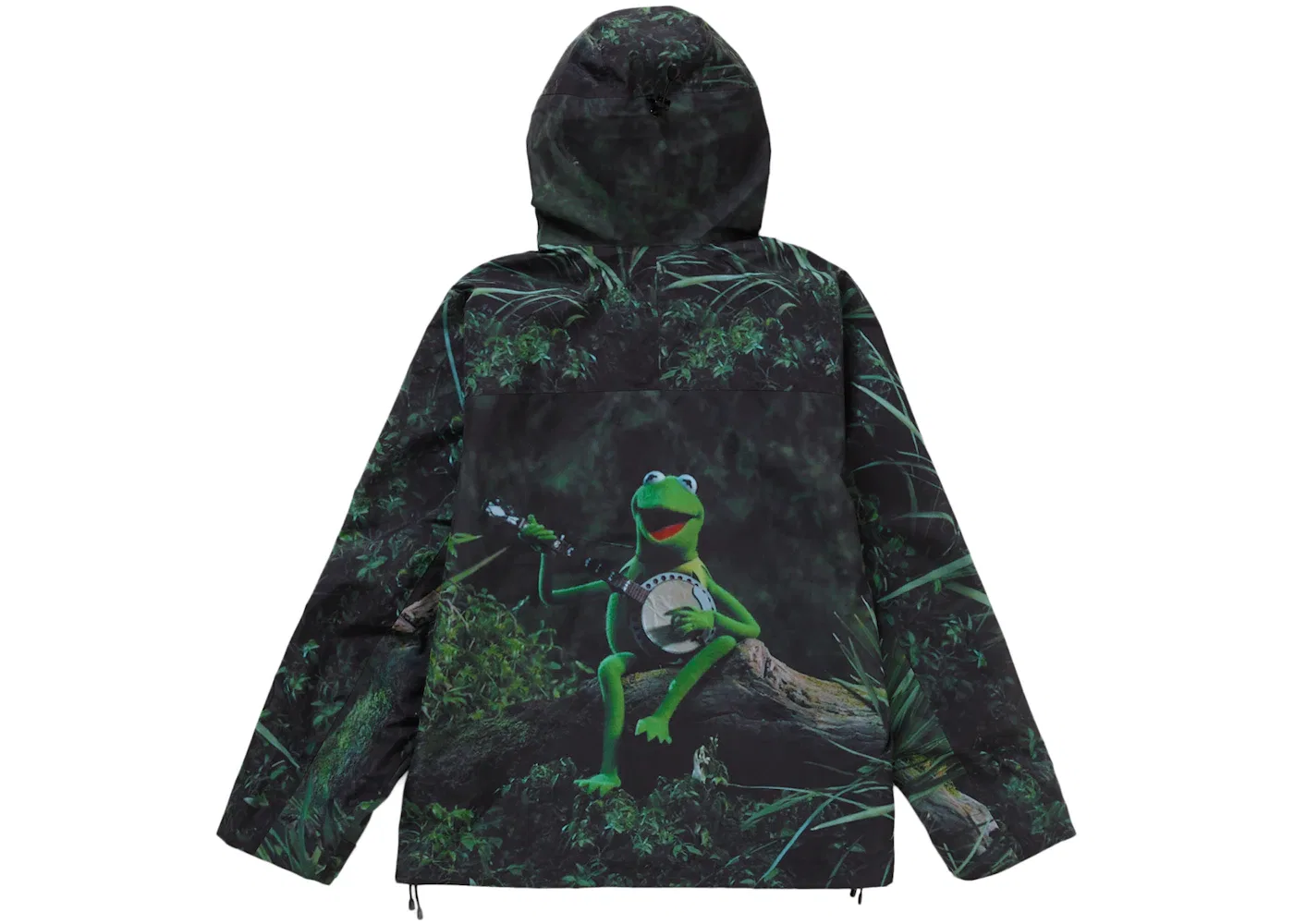 Мужская куртка из мембраны GORE-TEX с фото-принтом Kermit The Frog Supreme, Kermit The Frog