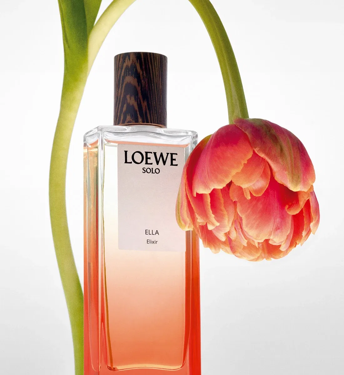 LOEWE Эликсир парфюмированная вода — фото 4