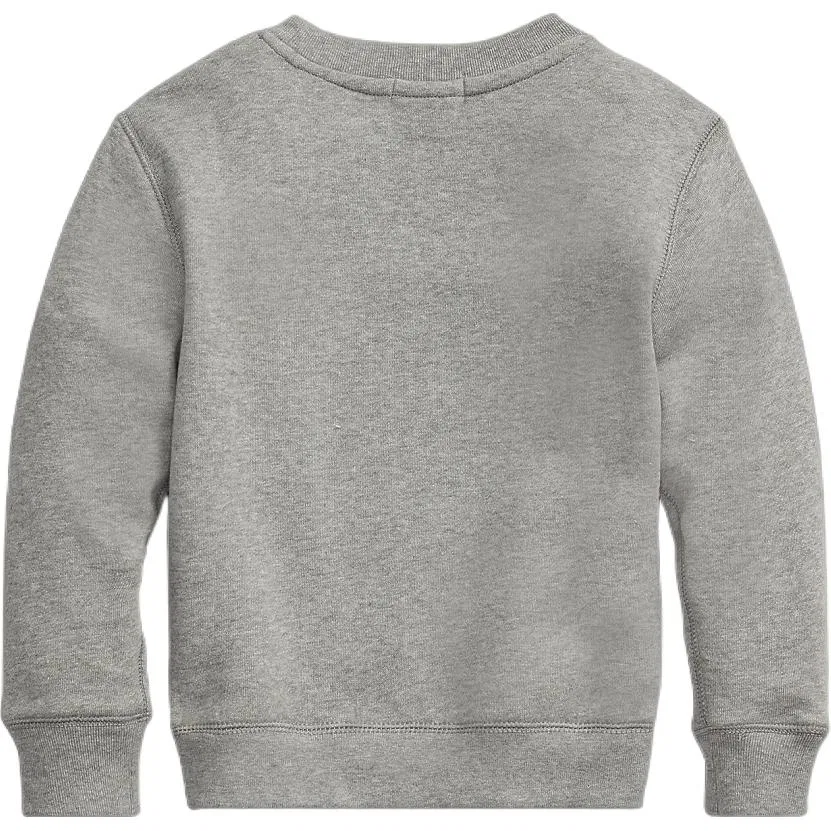 Свитшот детский Polo Ralph Lauren, Dark Heather Gray — фото 3