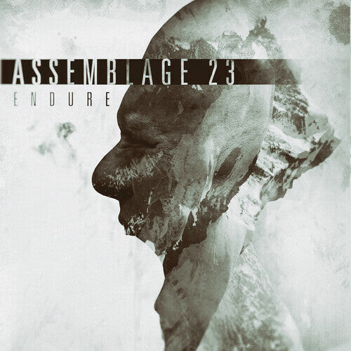 

Виниловая пластинка Assemblage 23: Endure