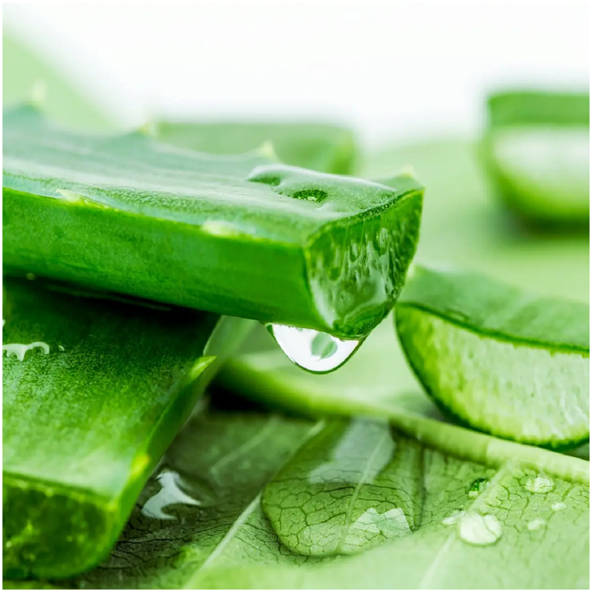 Эмульсия The Saem — Jeju Fresh Aloe для лица и тела, 155 мл — фото 3