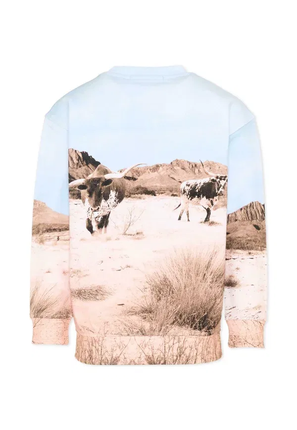 Свитшот с фотопринтом Sweatshirt Scotch & Soda multi coloured, мультиколор — фото 2