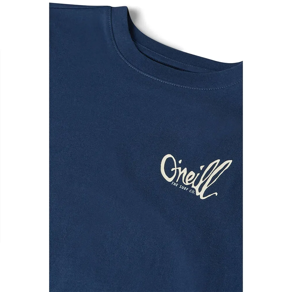 Детская футболка с принтом Chest Print O'Neill, Blue — фото 3