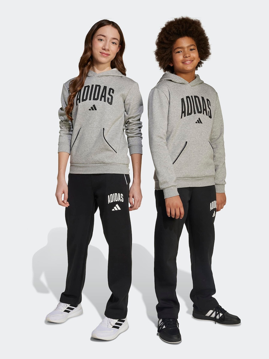 Обычные спортивные штаны ADIDAS SPORTSWEAR Essentials Collegiate, черный — фото 2
