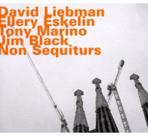 

CD диск Liebman & Eskelin: Non Sequiturs