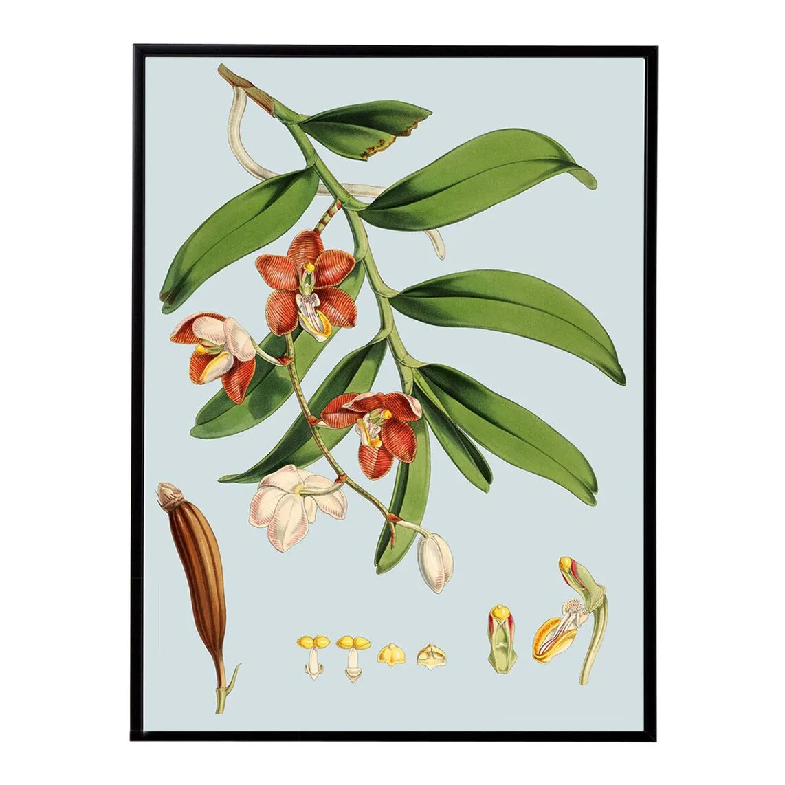 

Лам Орхидеи Цветы PSTR Studio Print + Frame Домашний офис El Corte Inglés