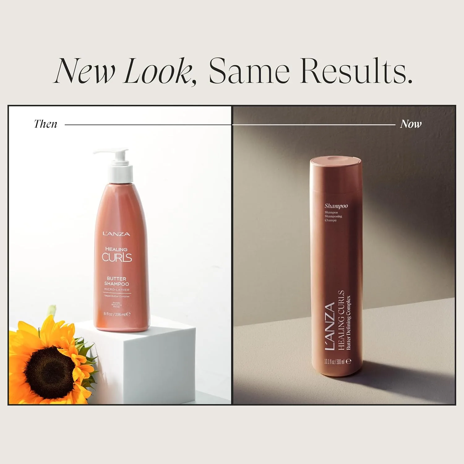 L'ANZA Healing Curls шампунь для вьющихся и текстурированных волос, увлажняющий, распутывающий, усиливает упругость, против завивки, безопасный для окрашенных волос, веганский, мягкое очищение, без сульфатов 237 мл (.) — фото 2