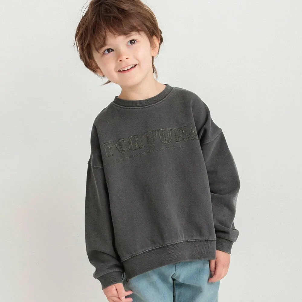 Толстовка Тренажер для пигментации HARU COLOR Branshes, Charcoal Gray