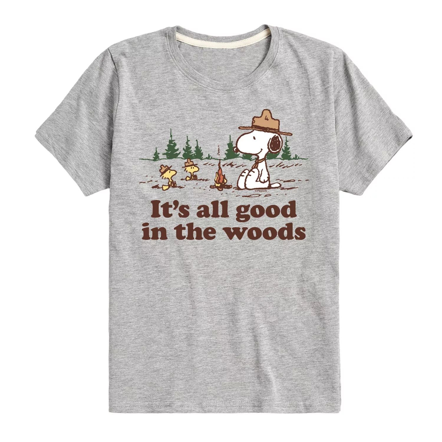 

Футболка Peanuts с рисунком «All Good In The Woods» для мальчиков 8–20 лет Licensed Character, серый