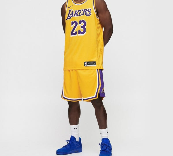 Майка Nike LeBron James Icon Edition Swingman Los Angeles Lakers Yellow, желтый — фото 3