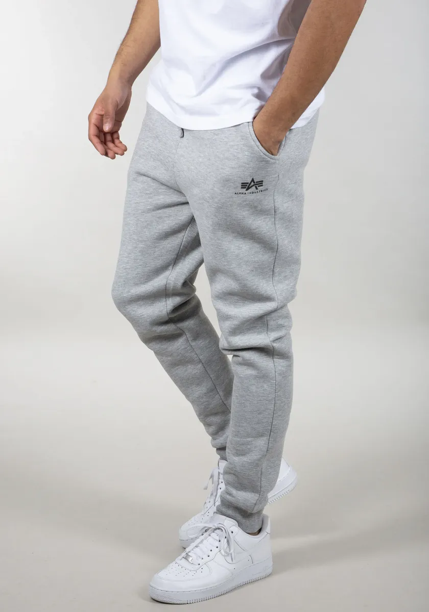 

Спортивные брюки Alpha Industries "Basic Jogger SL", серый