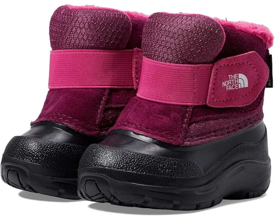 

Ботинки The North Face Kids Alpenglow II, цвет Boysenberry/TNF Black