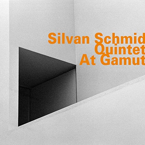 

CD диск Schmid, Silvan: At Gamut