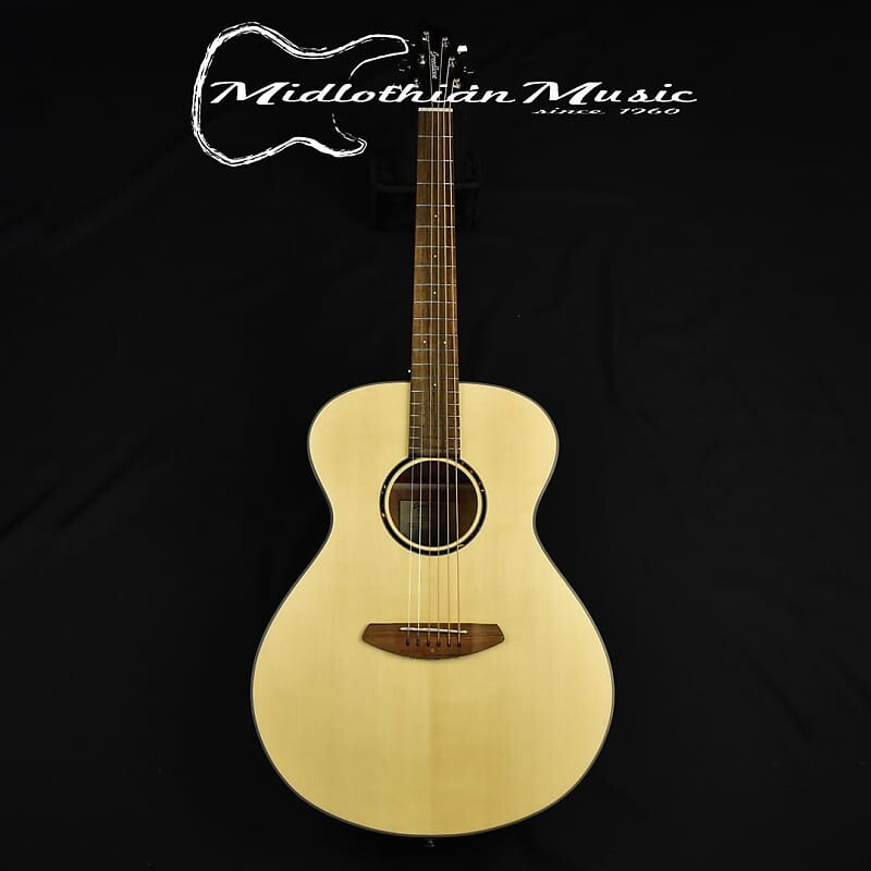 

Акустическая гитара Breedlove Discovery S Concert