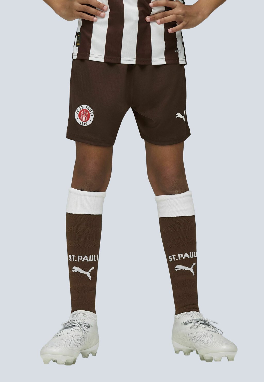 

Спортивные шорты FC ST. PAULI 25/26 Puma, коричневый