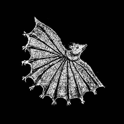 

Виниловая пластинка Xiu Xiu - Ignore Grief - Silver Ghost