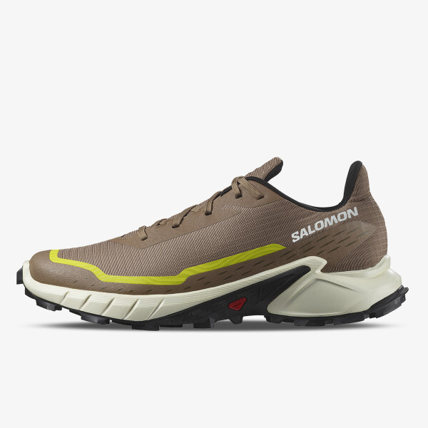 

Кроссовки Alphacross 5 Salomon, мультиколор