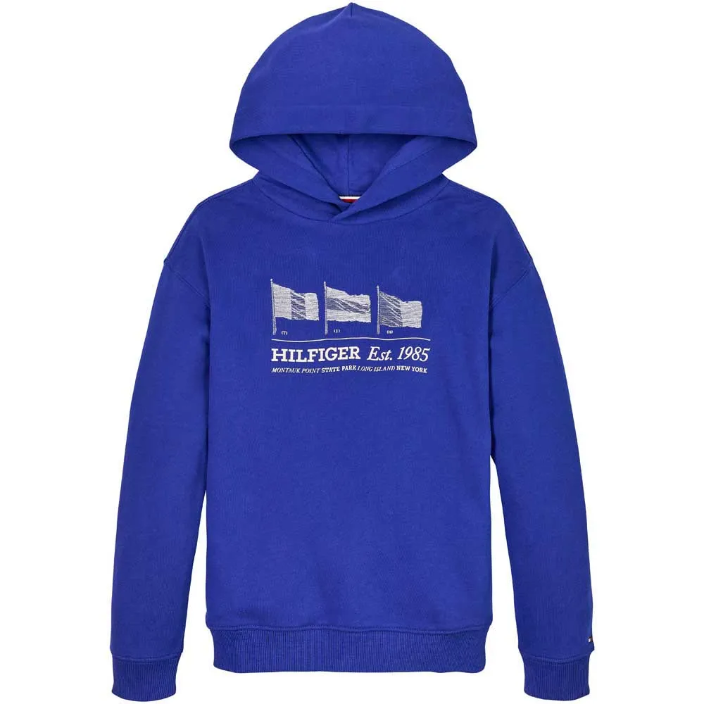 

Худи Tommy Hilfiger Waving Flag, синий